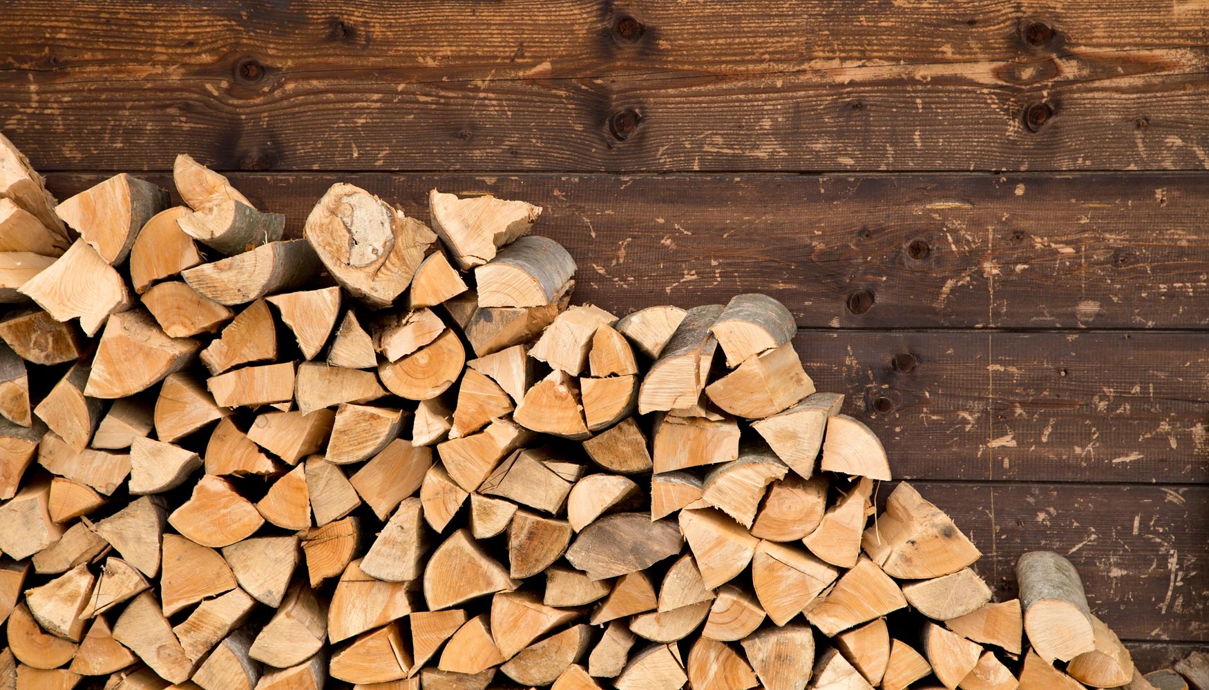 Leña seca certificada apilada lista para venta en La Araucanía