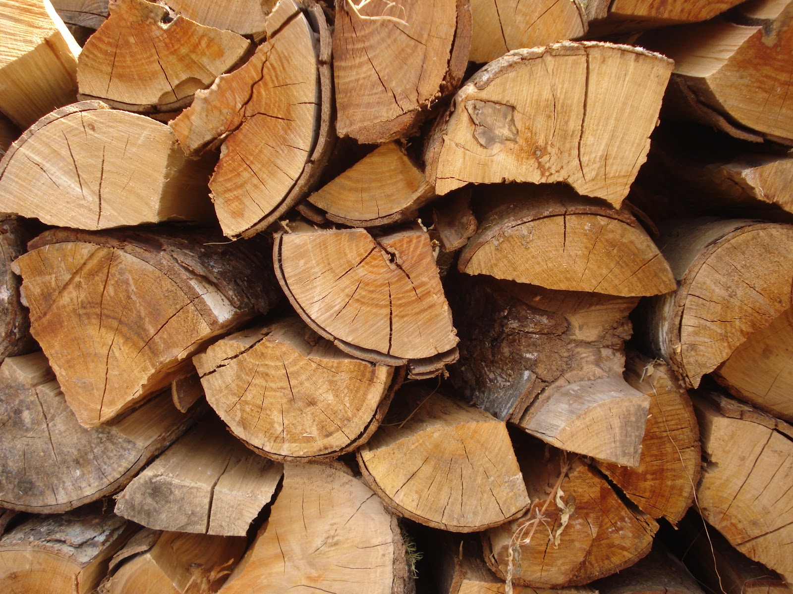 Leña de hualle certificada en Freire