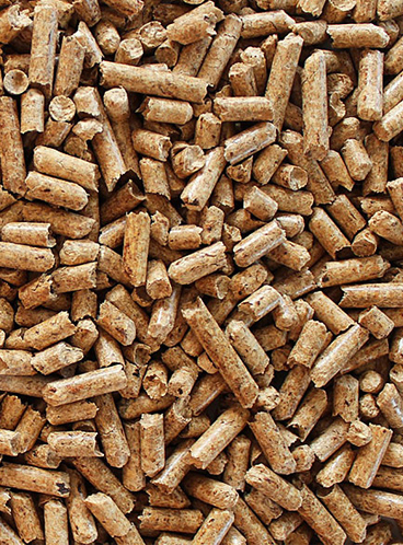 Pellet de madera como alternativa limpia en Freire